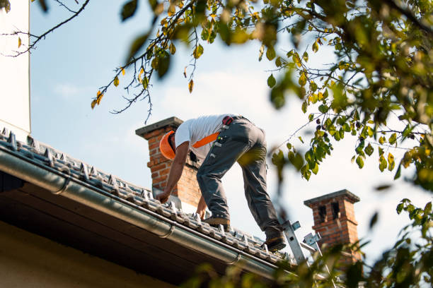 Best Metal Roofing Contractor  in Huntington, VA
