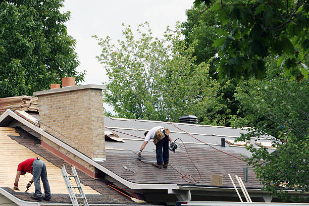 Best Roof Gutter Cleaning  in Huntington, VA