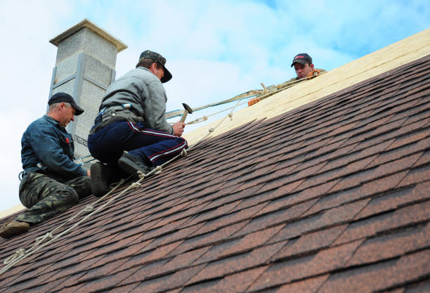 Best Gutter Installation and Roofing  in Huntington, VA